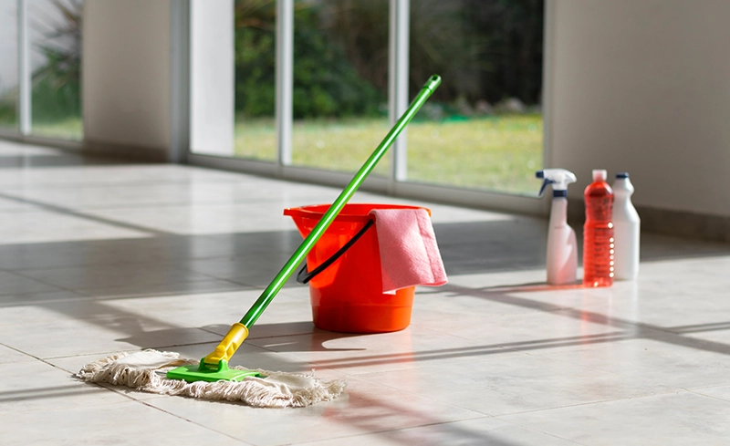 buy lavender floor cleaner disinfectant online